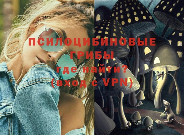 крисы Новокубанск
