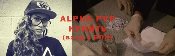 СК Новодвинск
