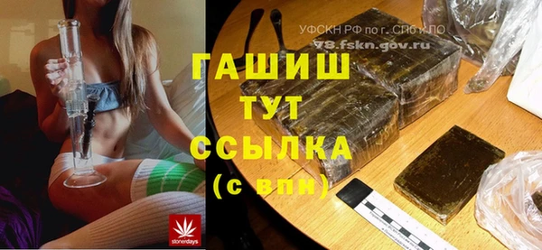 СК Новодвинск
