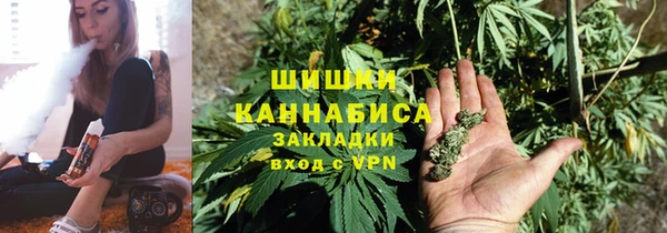 СК Новодвинск