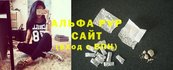 СК Новодвинск