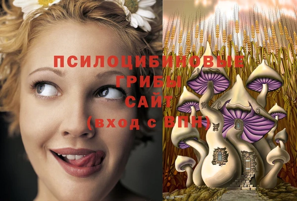крисы Новокубанск