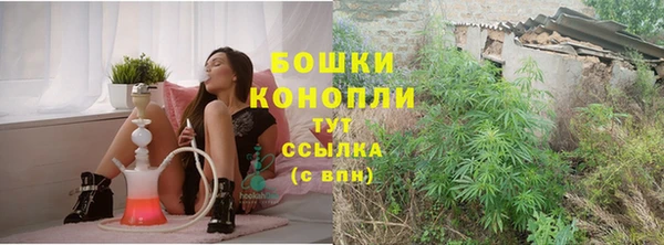 крисы Новокубанск