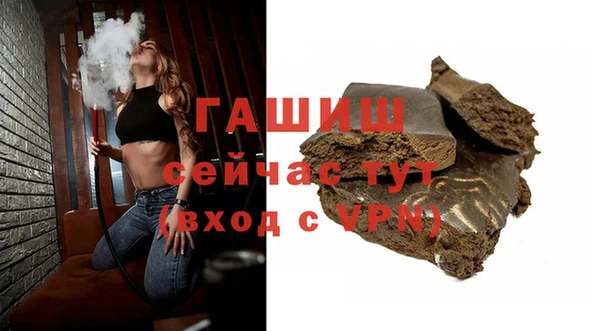 СК Новодвинск